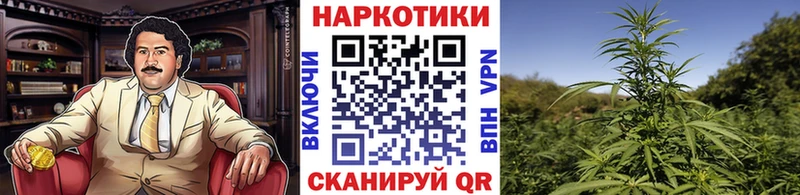 Каннабис Ужур