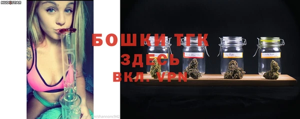 ешки Арсеньев