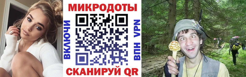 где можно купить наркотик  Ужур  Галлюциногенные грибы прущие грибы 
